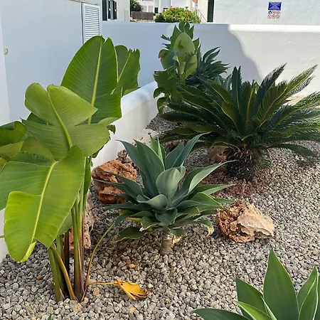 Pinuelo * 에스 메르카달